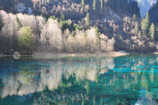 Vivid11's Photos & Galleries | 500px