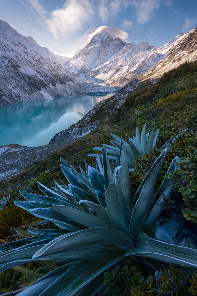 Arcadia by William Patino on 500px.com