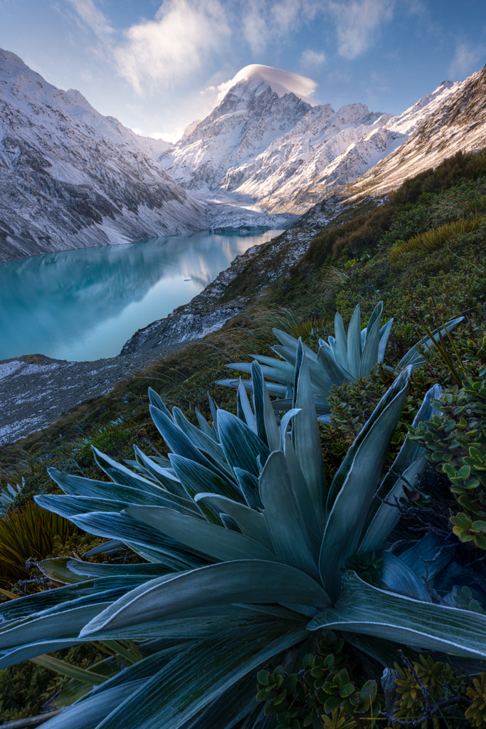 Arcadia by William Patino on 500px.com