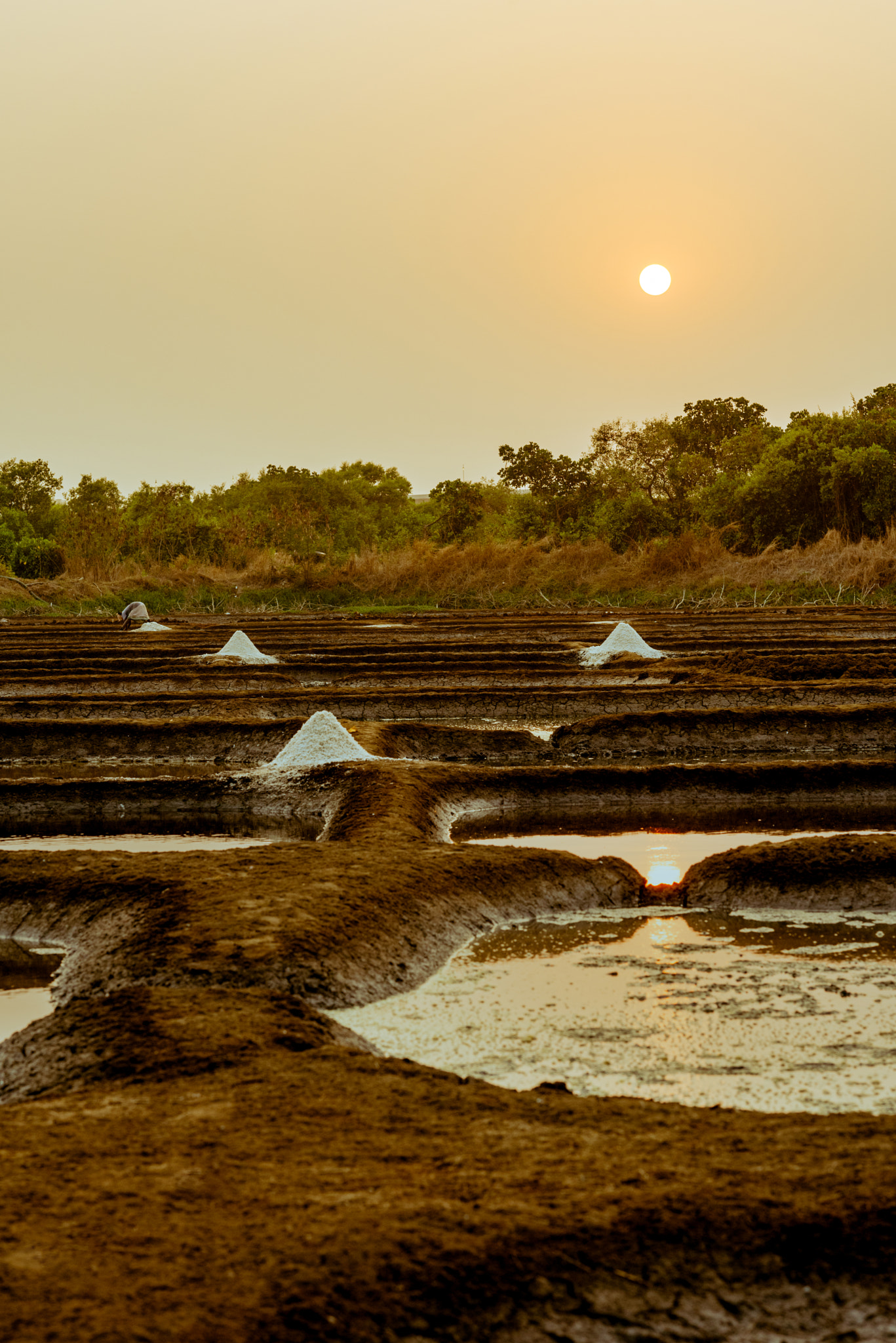 Salt Pans in Goa, India