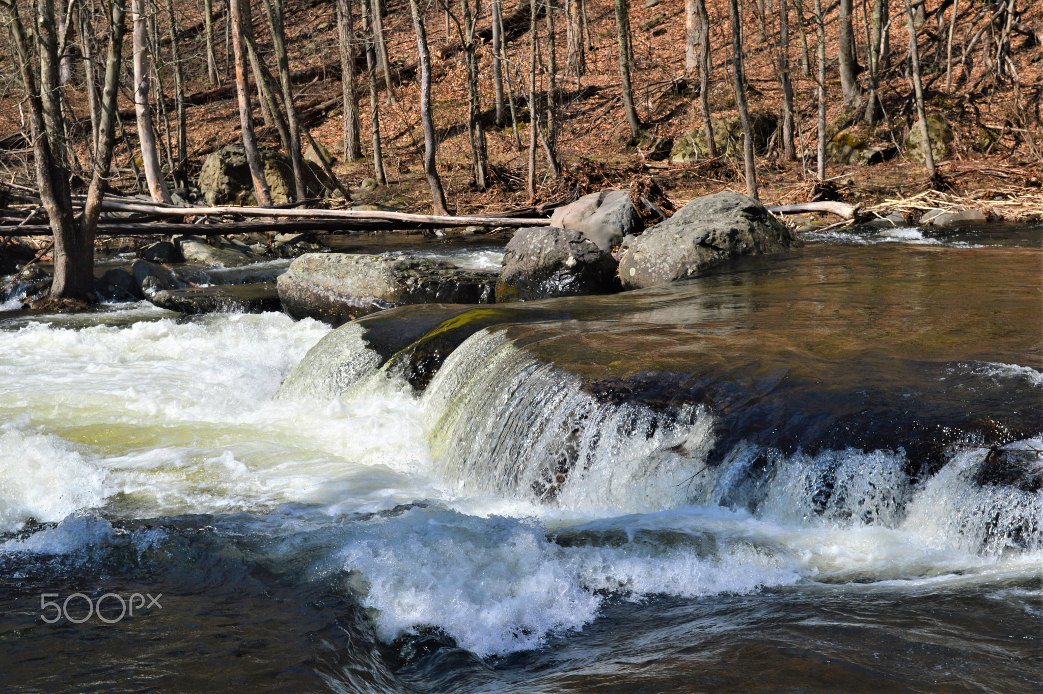 Broadhead Creek