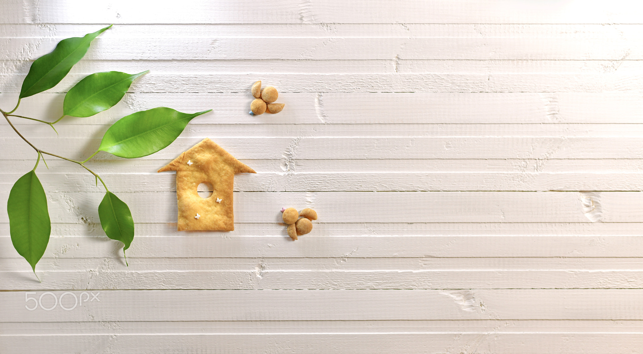 Spring summer layout of bird cookies and a branch with leaves on a