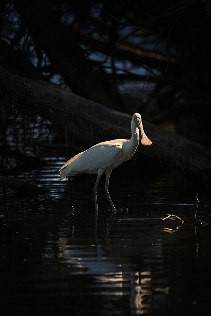 Melkullya by Paul Amyes on 500px.com