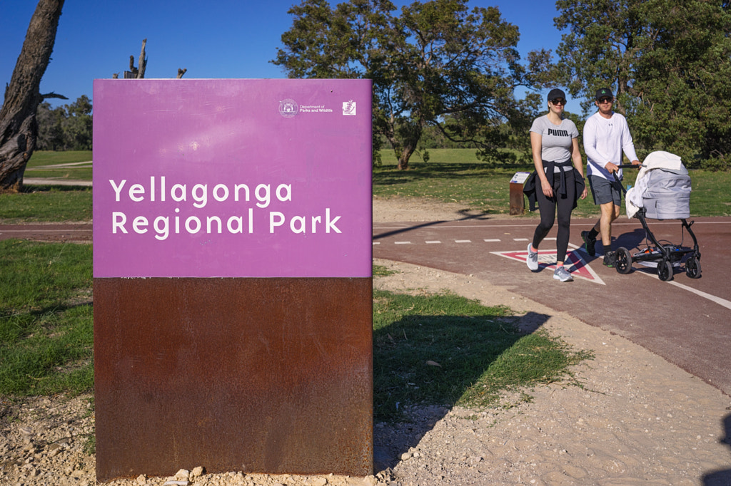 Yellagonga Regional Park by Paul Amyes on 500px.com