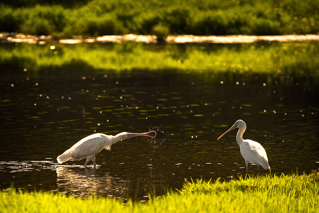 Melkullya by Paul Amyes on 500px.com