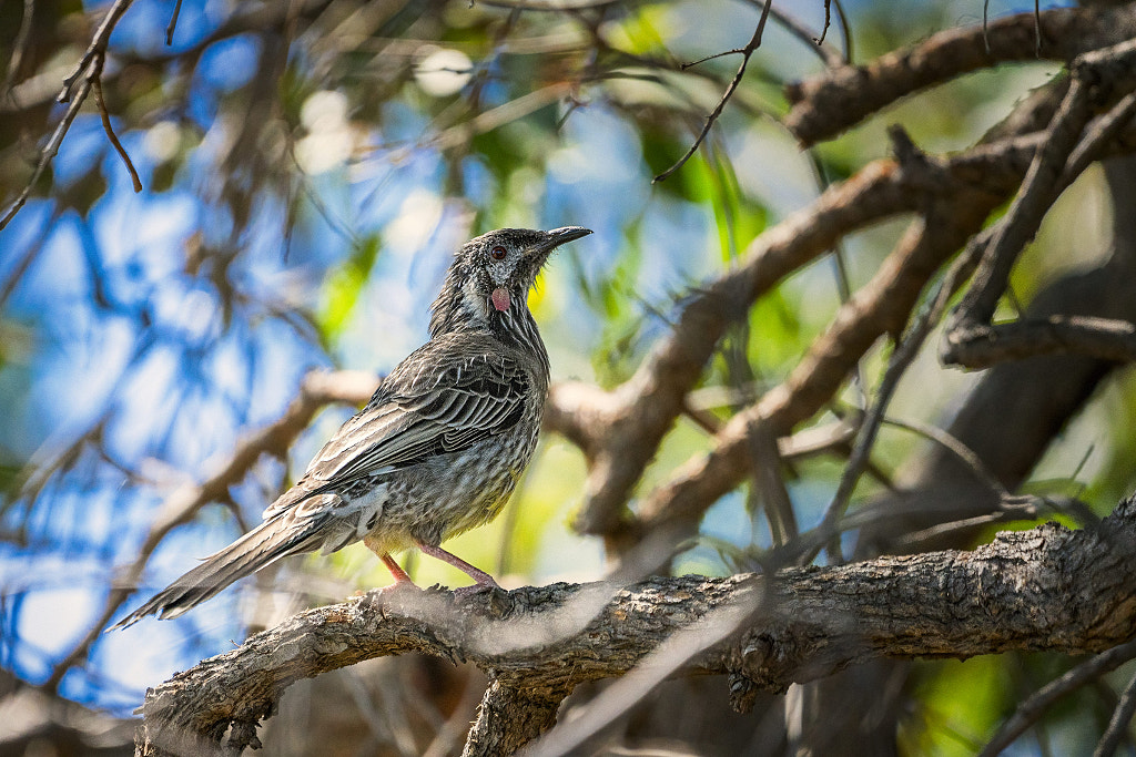 Wodjalok by Paul Amyes on 500px.com
