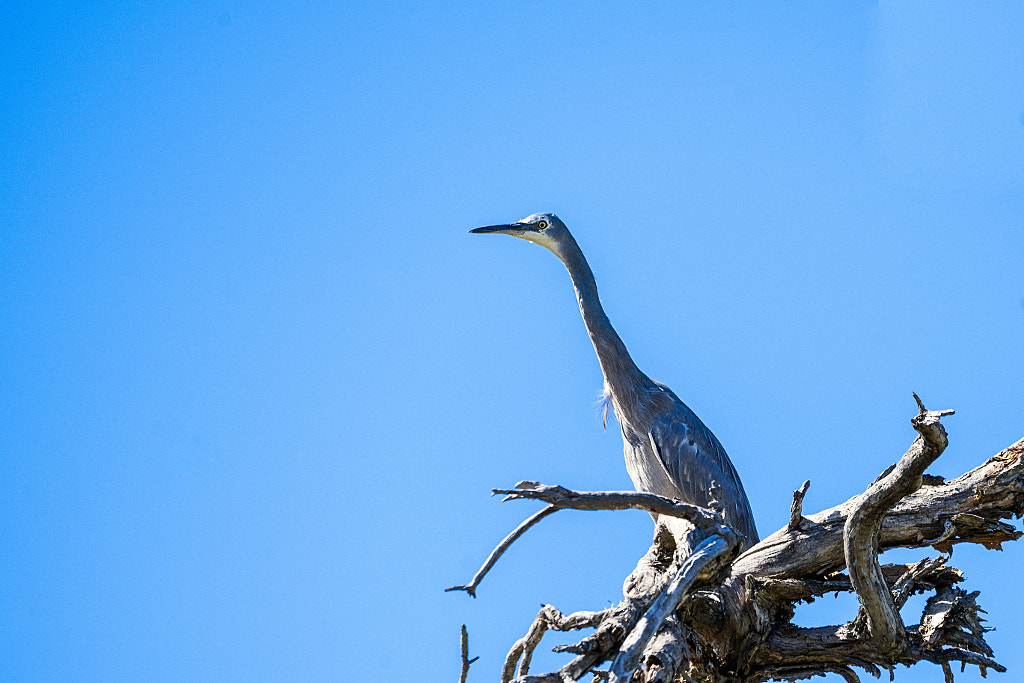Wyan by Paul Amyes on 500px.com