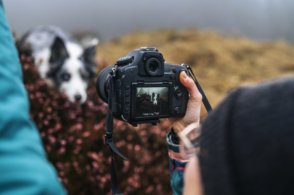 Dog photography behind the scenes by Grzegorz Bukalski on 500px.com