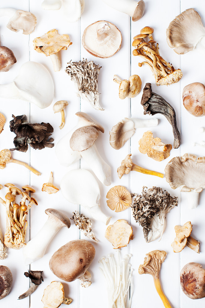 Variety of mushrooms on white surface by Joanna Wojewoda on 500px.com
