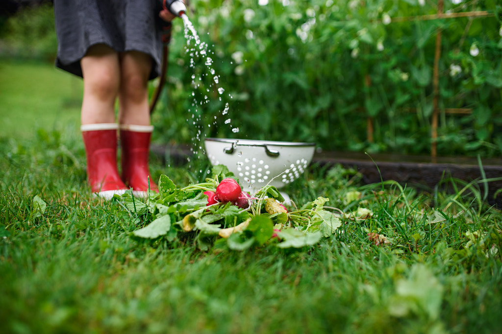 Unrecognizable small girl working in vegetable garden, sustainable by Jozef Polc on 500px.com