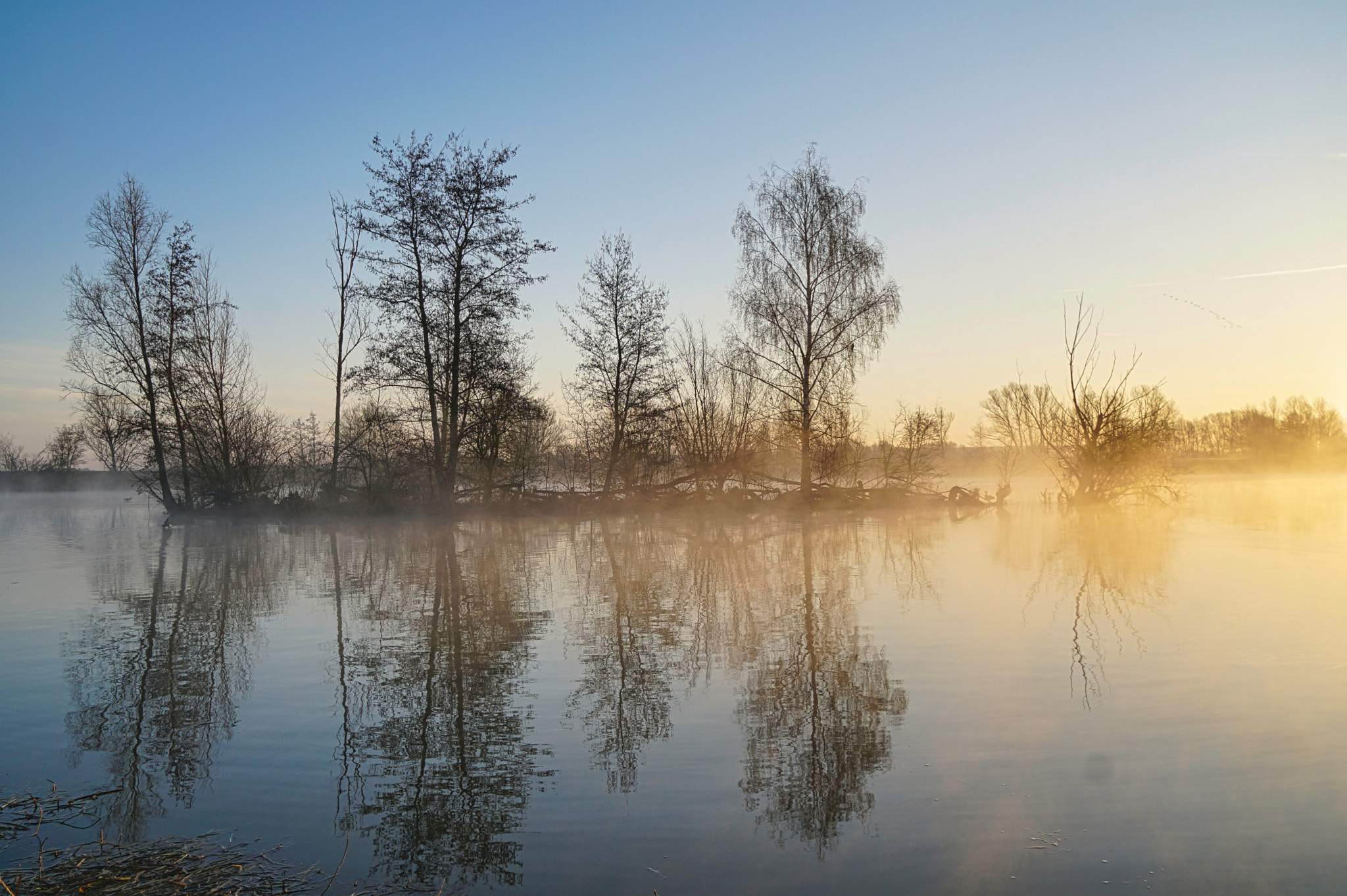 v2?sig=d1c5acfca24e74f09e34b1bb82a9447ce