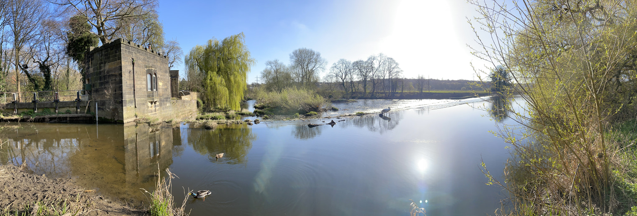 River Aire at Kirkstall Abbey