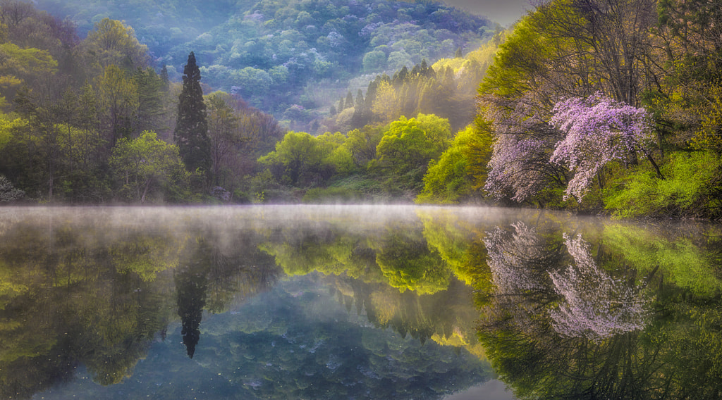 The spring of a pond by Choi seunghoon on 500px.com