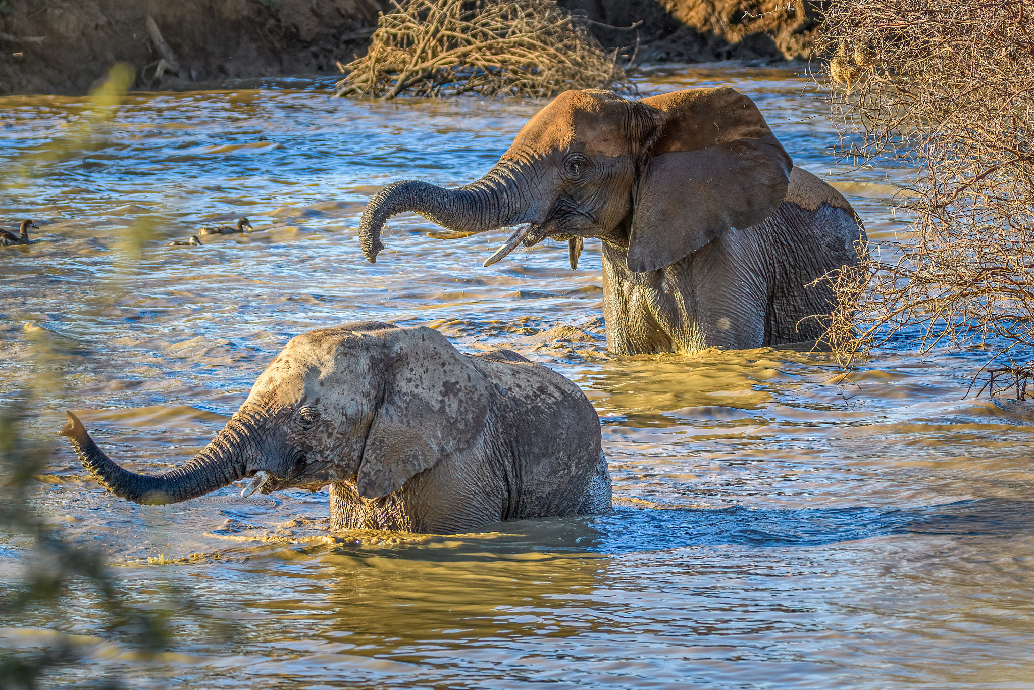 v2?sig=9b8478a7160b77117d72f6270a089402a02822fcf392e46019c81a2de147ae3c