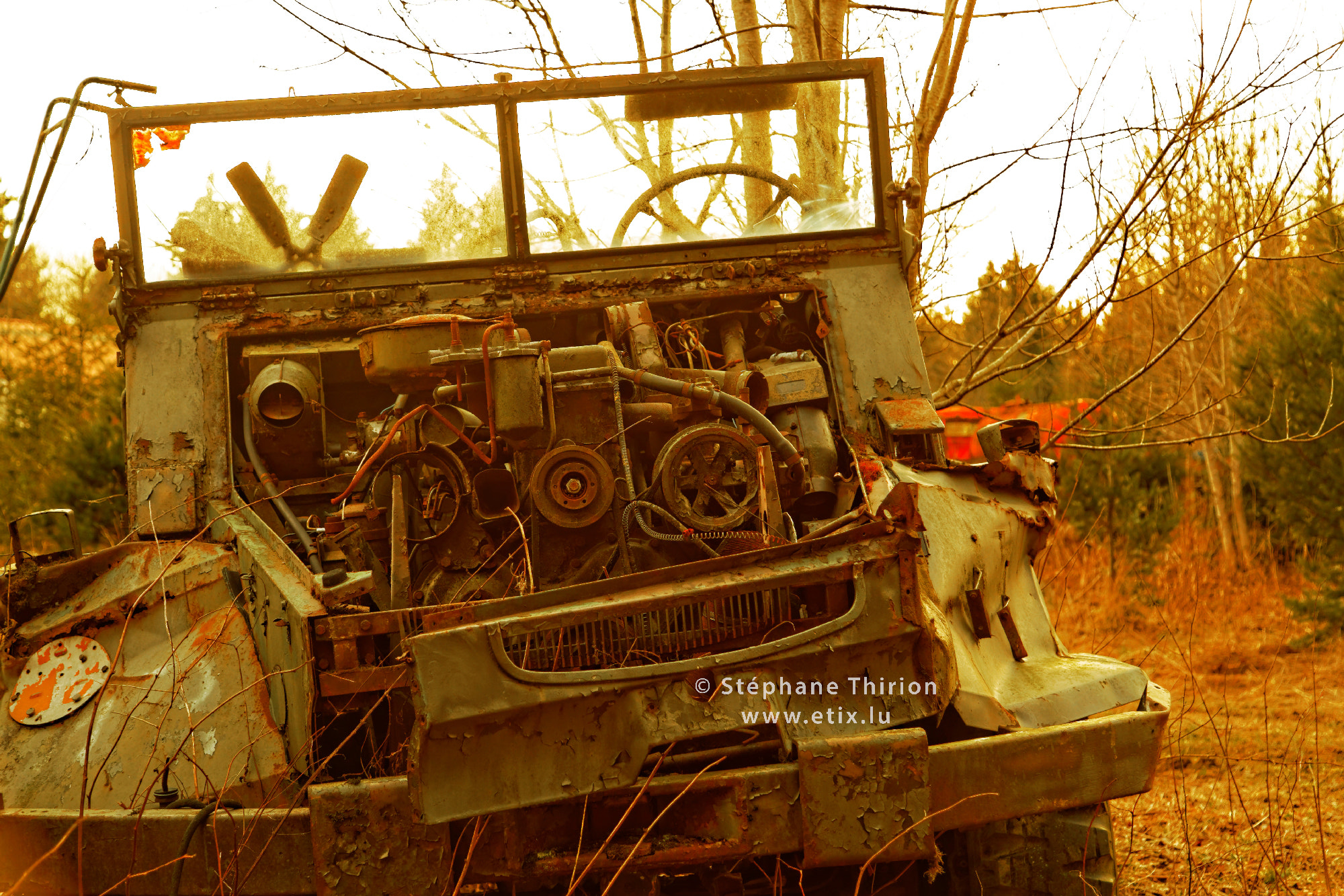 Old jeep and nature / Ancienne jeep et nature