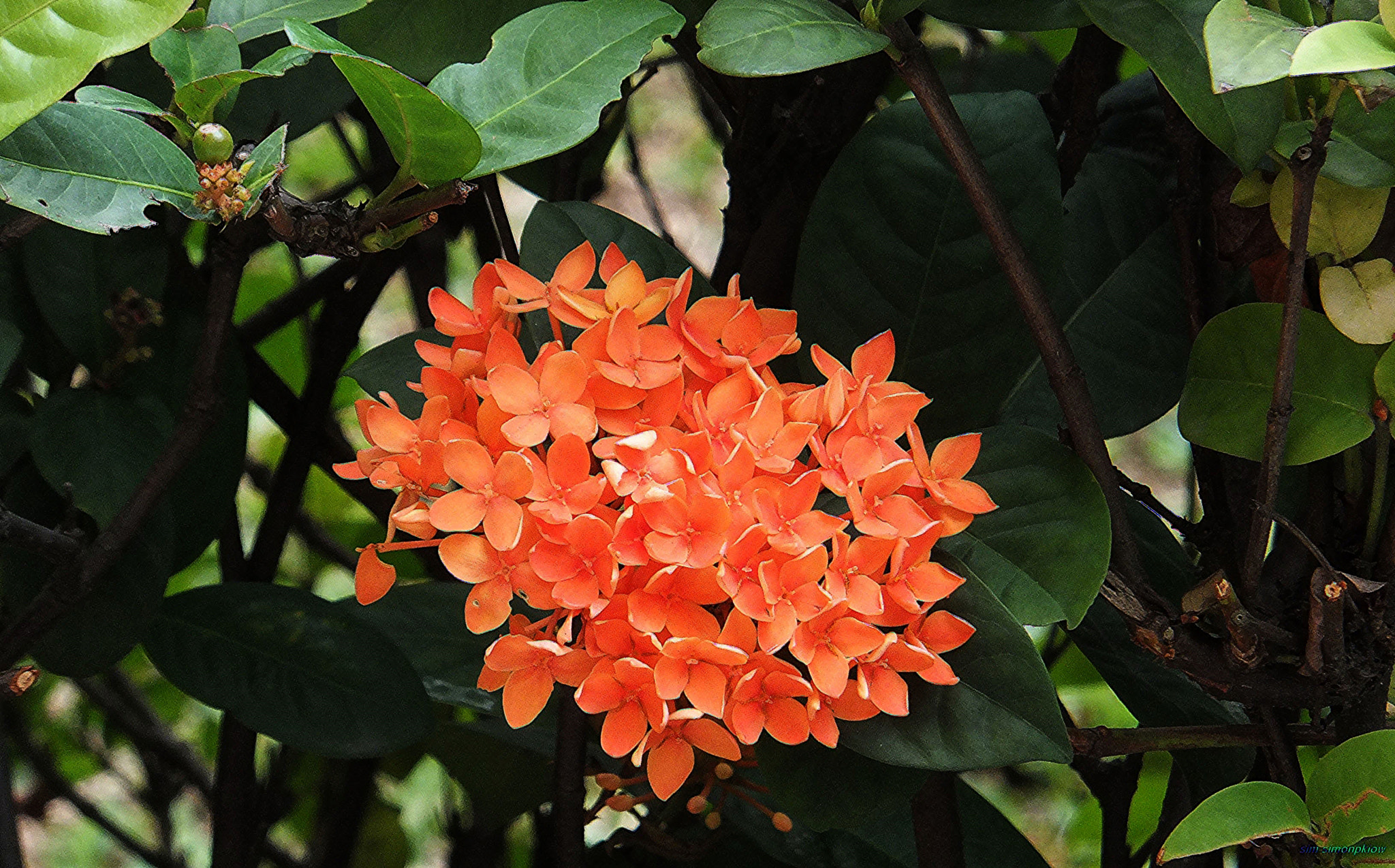 v2?sig=91bd88a73e668b698f294f027fe4b2d70bece7050dd1e893e5f2d0a3c95cd9d9