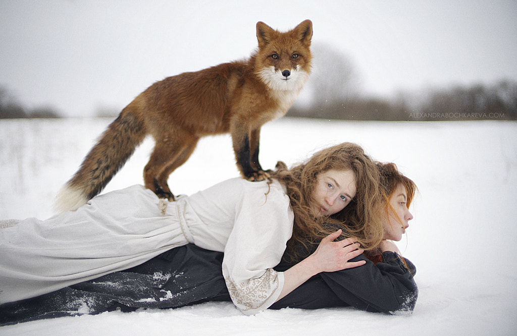 Sony A7III Sample Images with Camera Settings (2024)