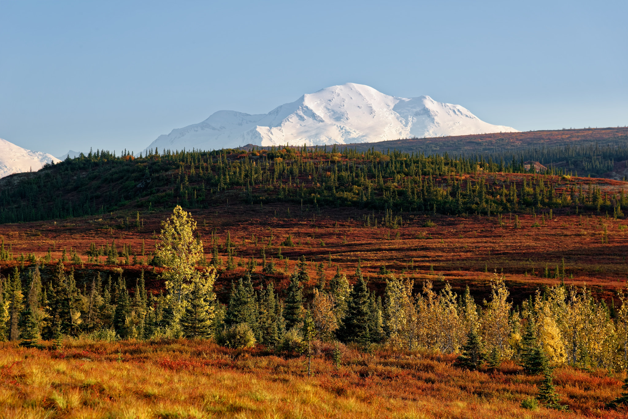 Denali Is Truly Magical to Take in on an Autumn Afternoon!