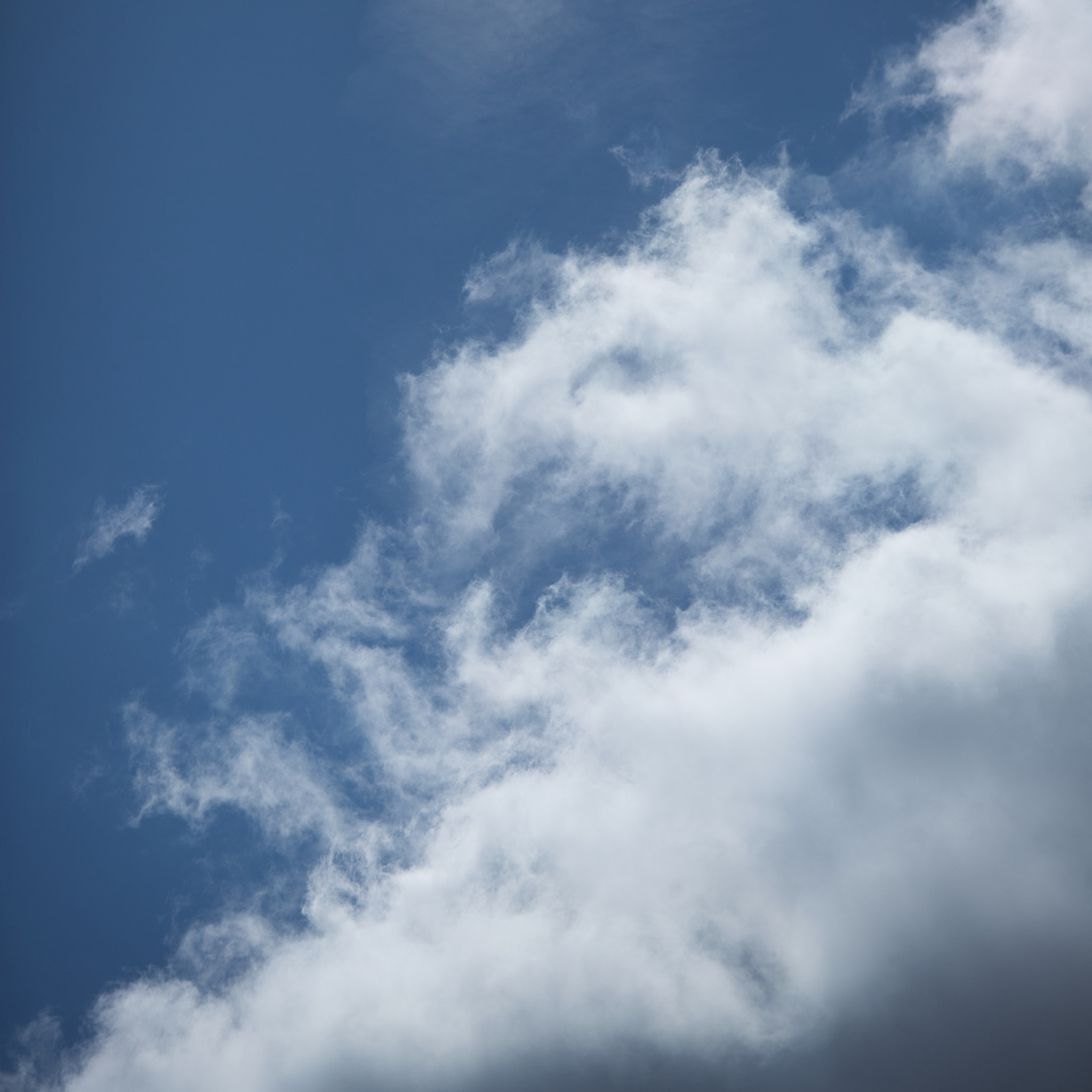 Cloud's dragon...