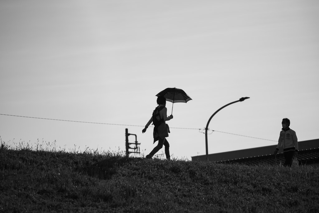 parasol by Shinya Hirata on 500px.com