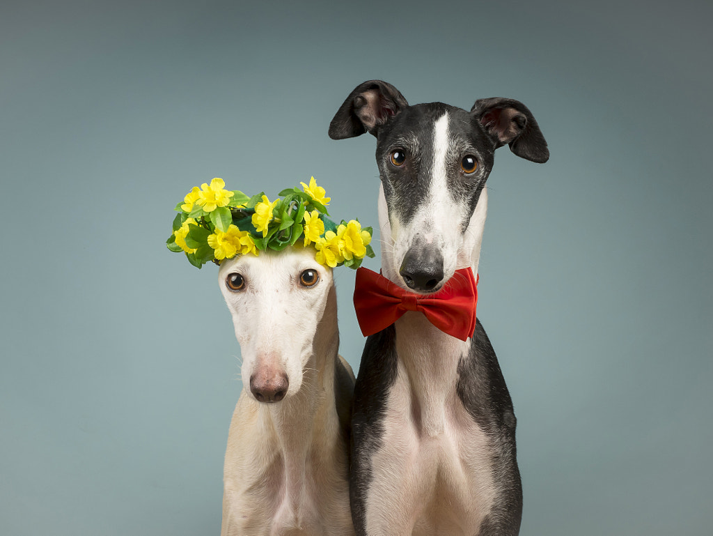 Rodolfo & Valentina by Andrés López on 500px.com