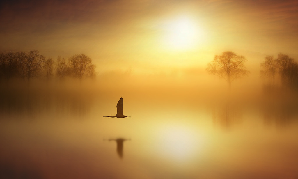 Volo radente by Antonio Amati on 500px.com