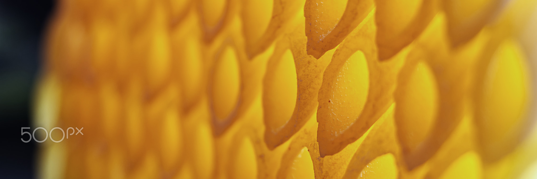 closeup pattern perspective of a crazy italian pasta composition with