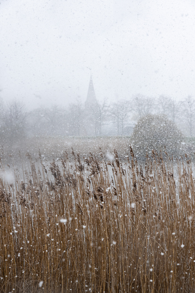 Reeds and village in the snow by Werner Lerooy on 500px.com