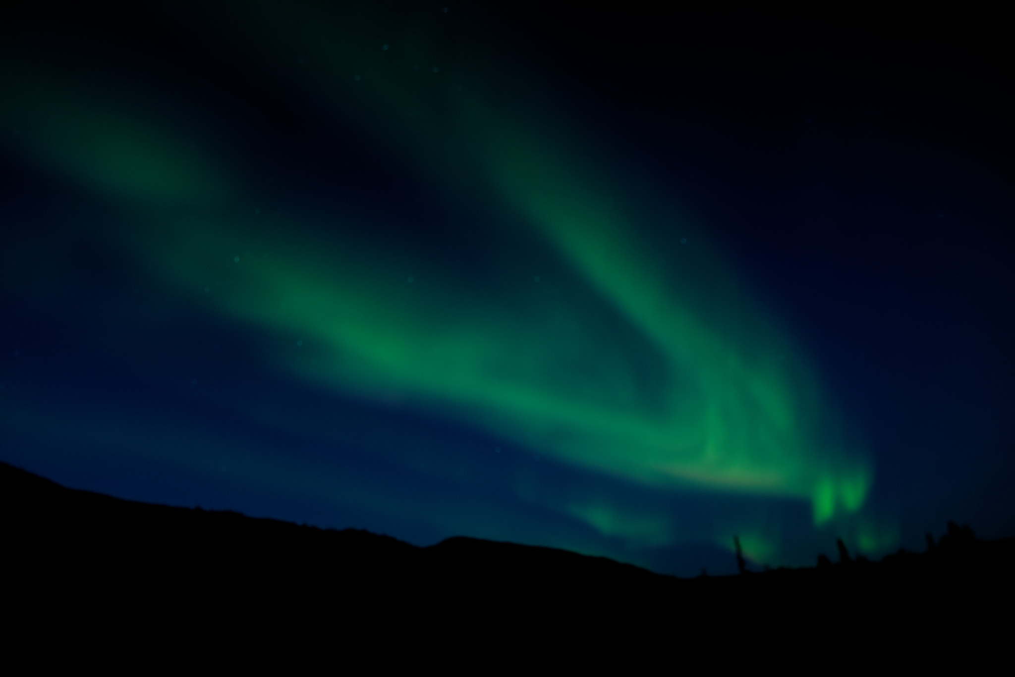 Northern Lights on Display in Denali National Park & Preserve