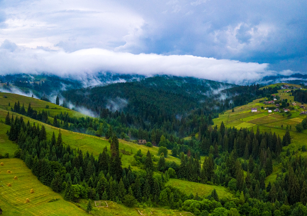 Carpathian forest фото