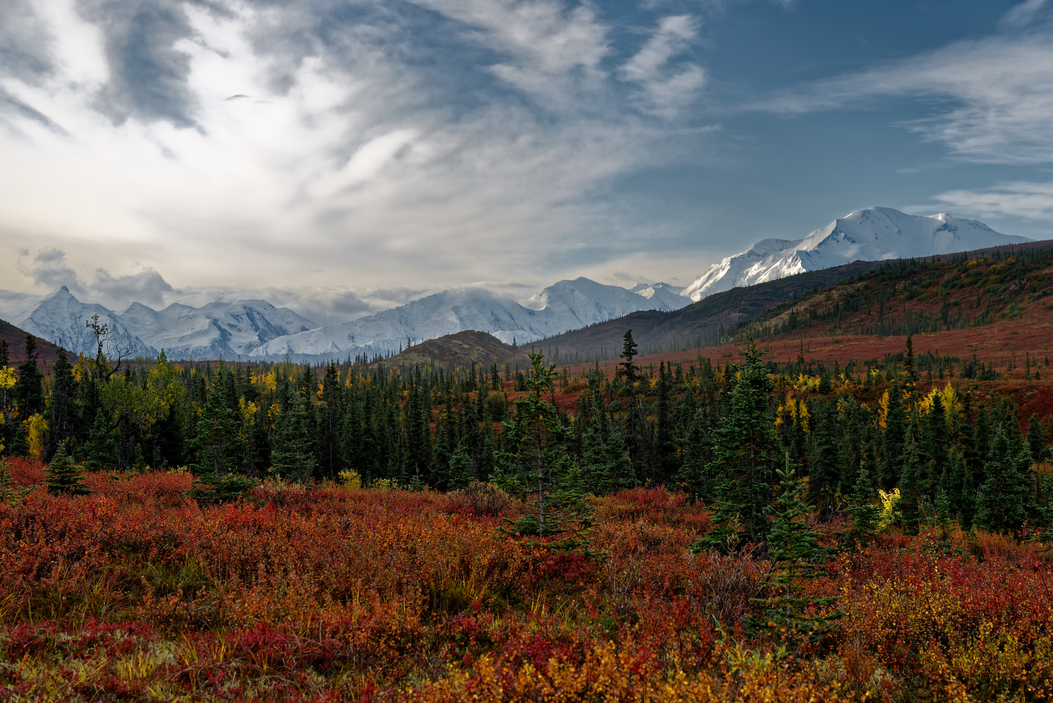 Adventure is Right Outside the Door at Denali National Park