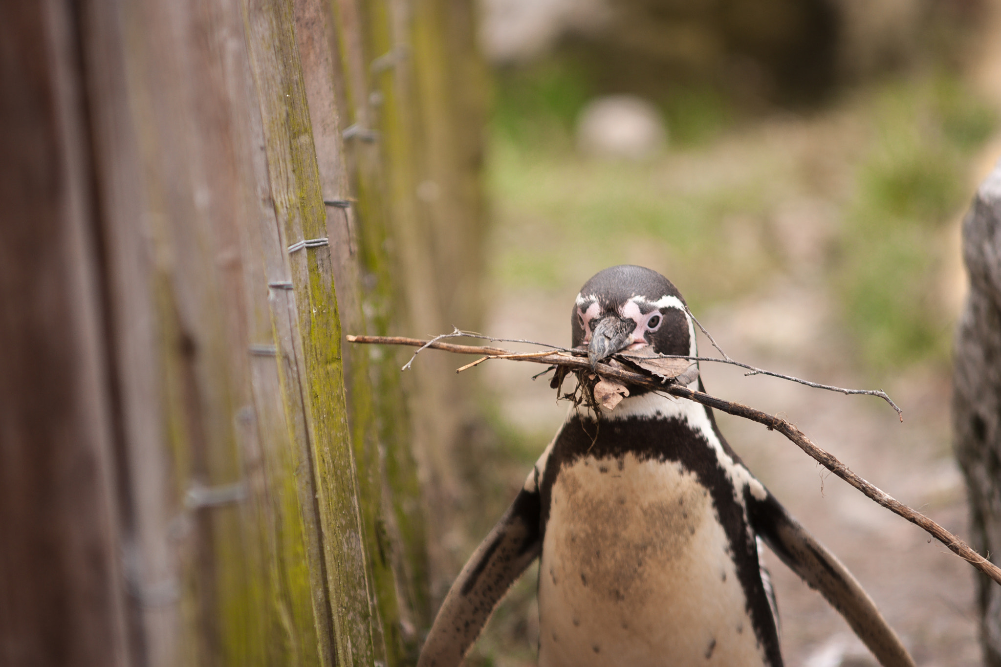 v2?sig=4586a9e4c2c387abcbfa06a721331eb348141d9c19a90e04e469fb26920566aa