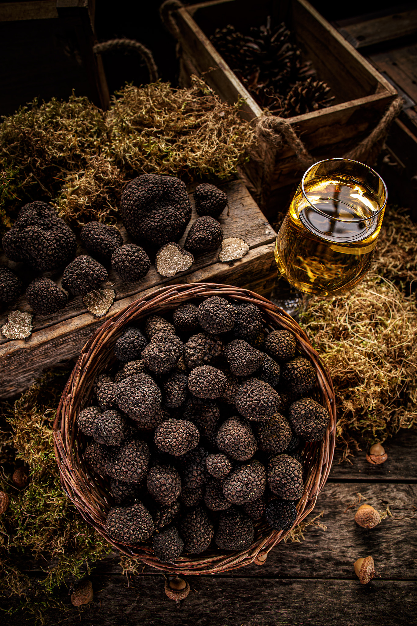Black truffles, gourmet mushrooms