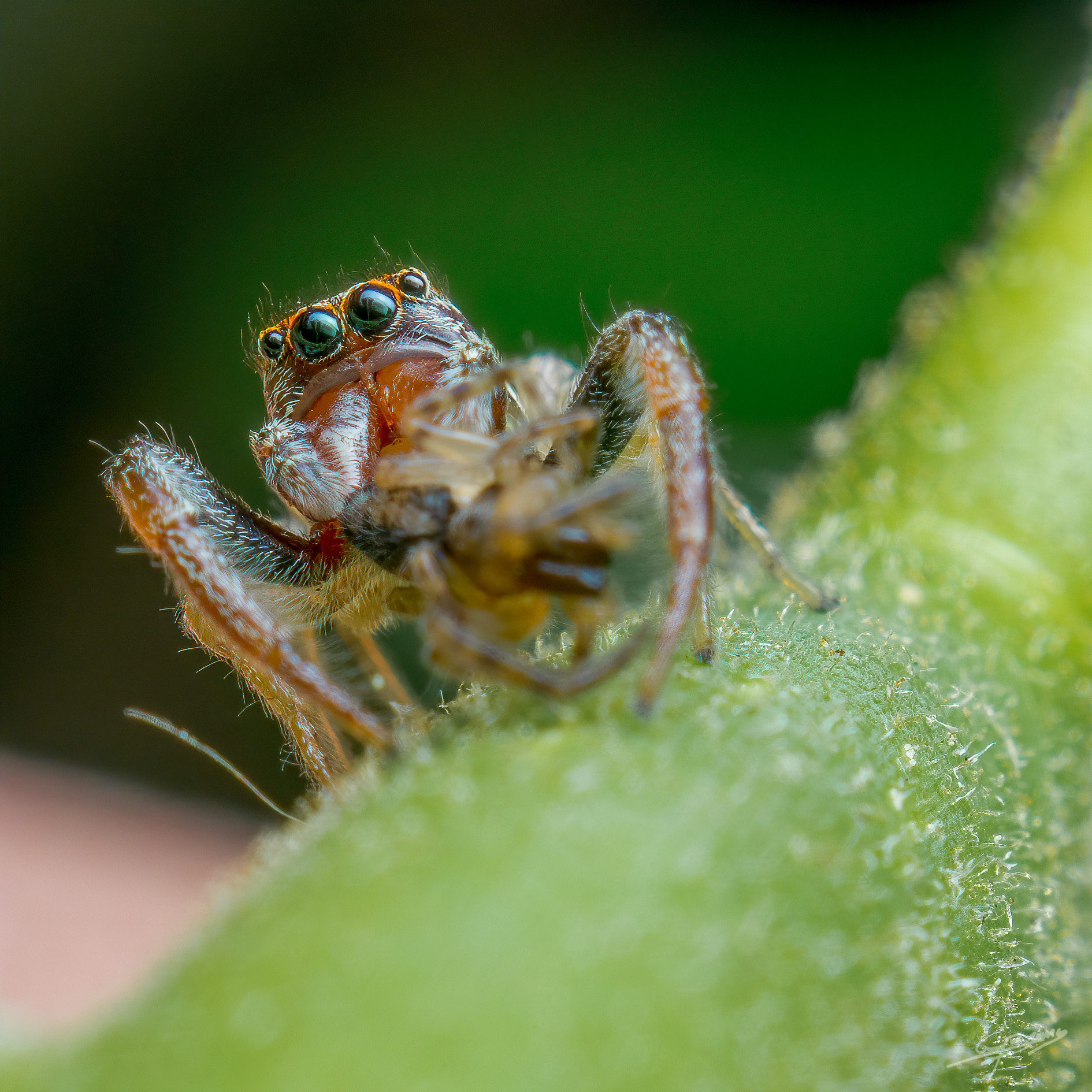 Bruno Levavasseur Brunolevavasseur Profile 500px