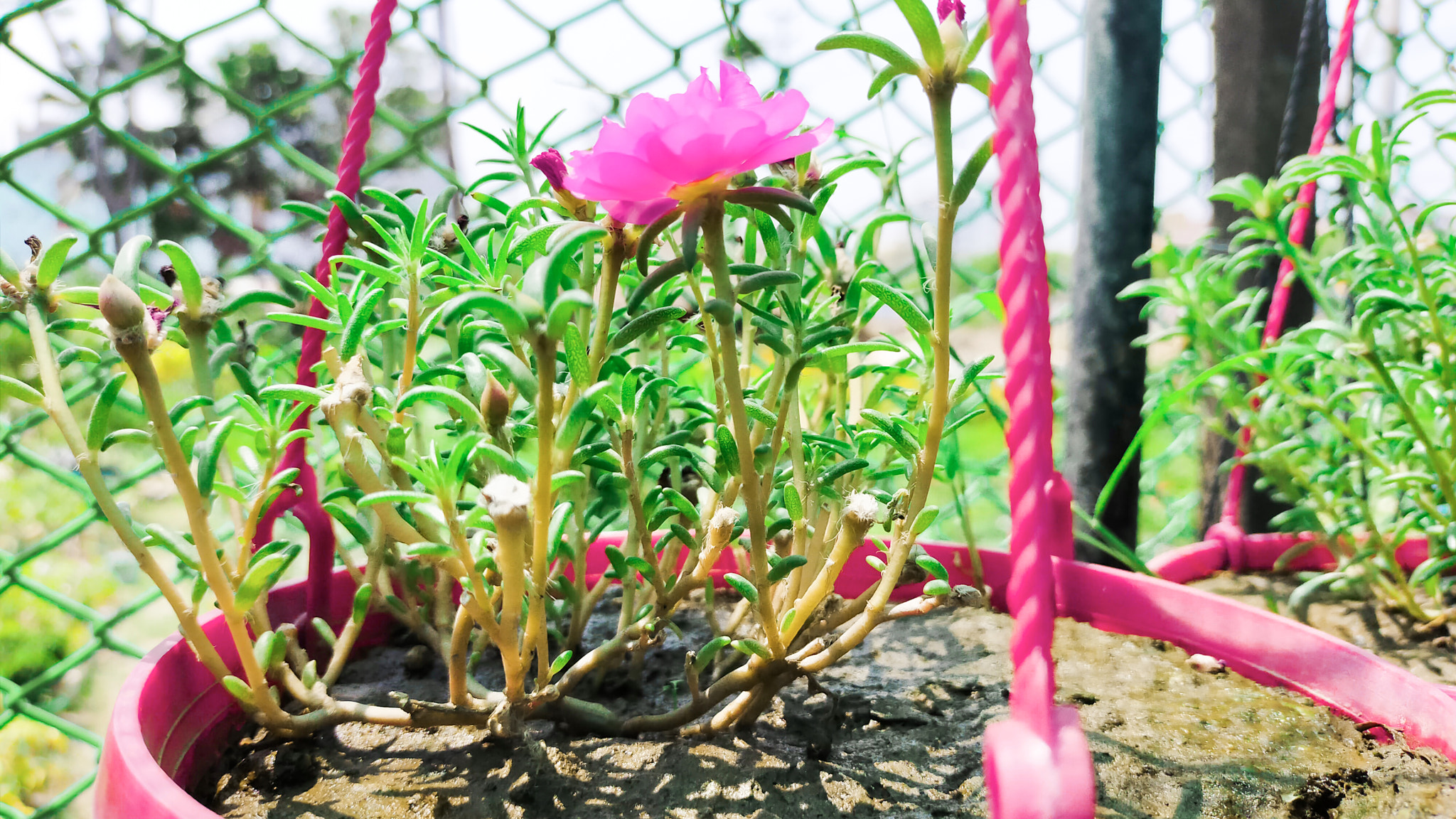 v2?sig=a3709306d8d7eba6b7ced59cc18161d2b24d9f38a0459310cb758ab68de9aaf6