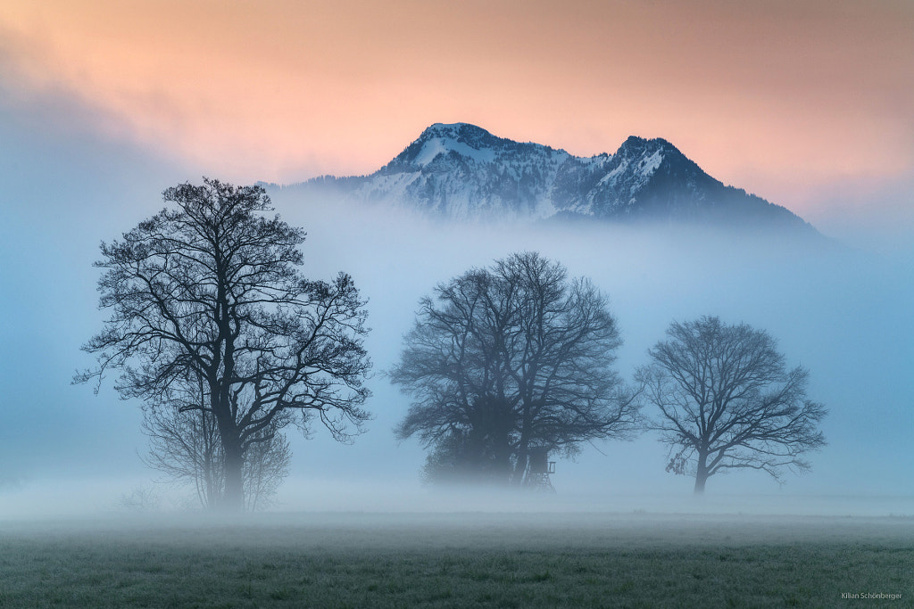 Mountain Morning by Kilian Schönberger on 500px.com