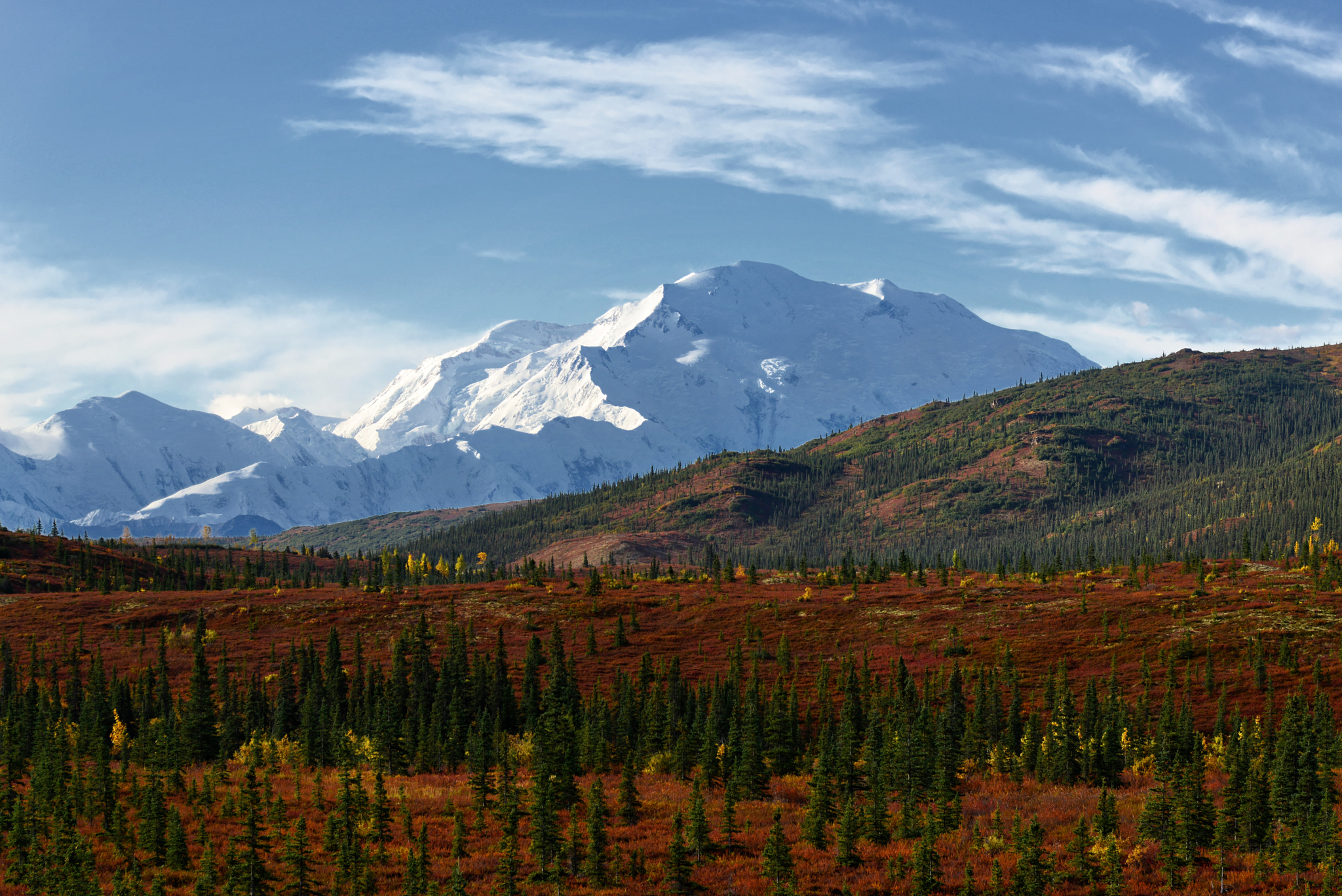 Discover for Yourself Denali’s Sterling Reputation