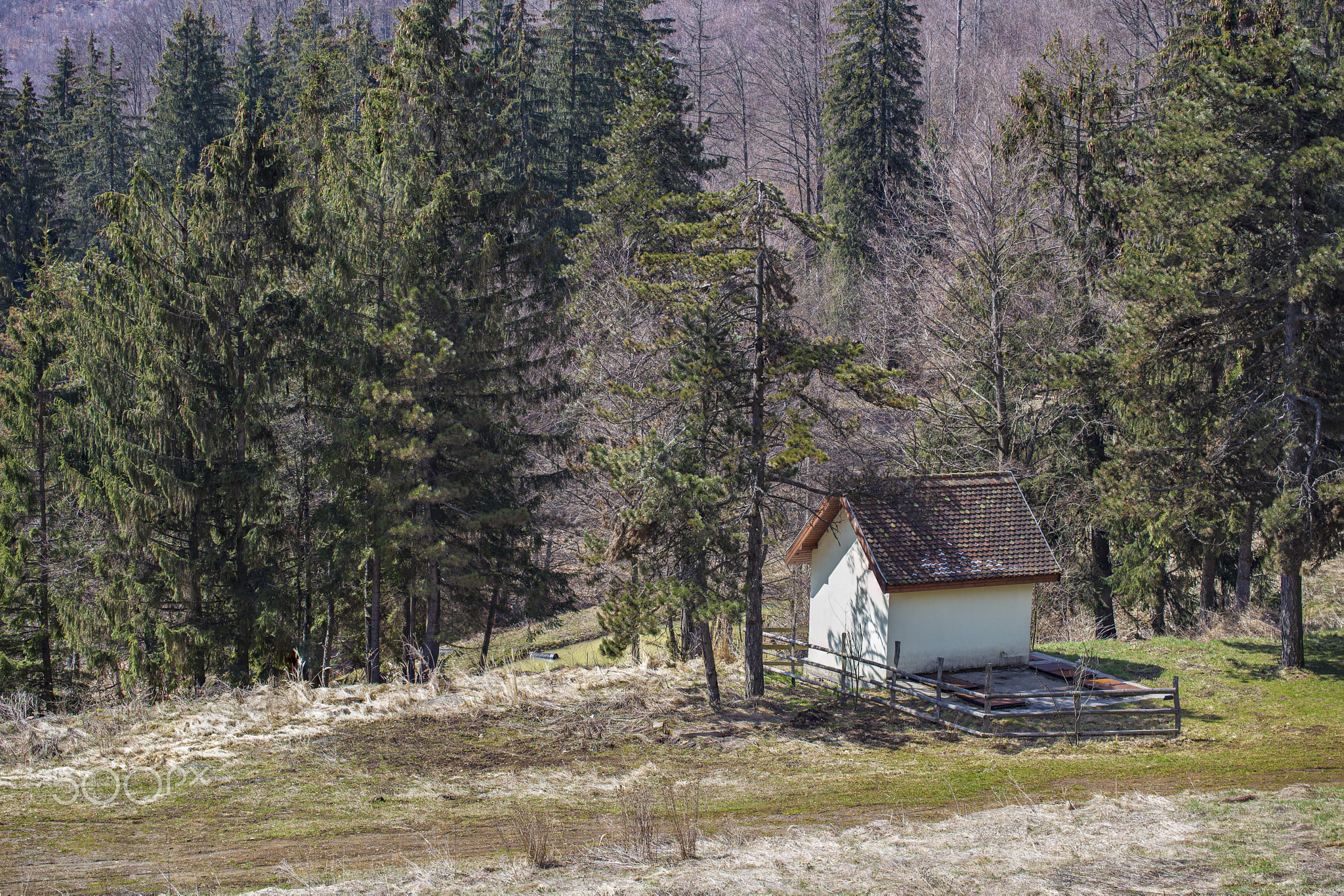 Mountain tiny house.