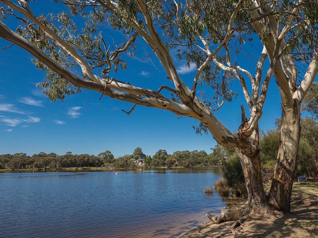 Ashfield Flats by Paul Amyes on 500px.com