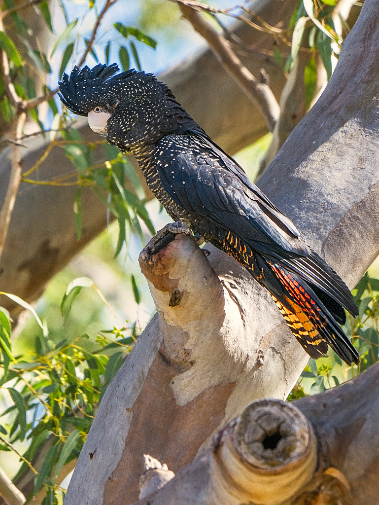 Karak by Paul Amyes on 500px.com