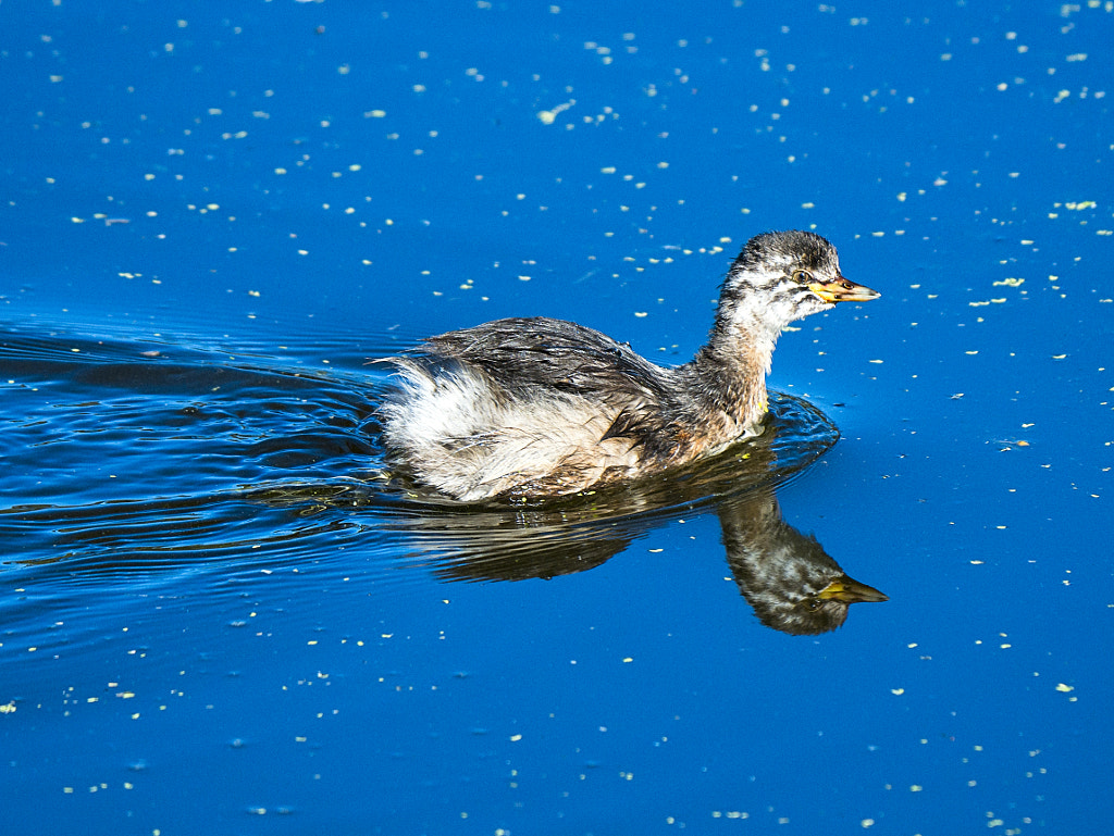 Wyooda by Paul Amyes on 500px.com