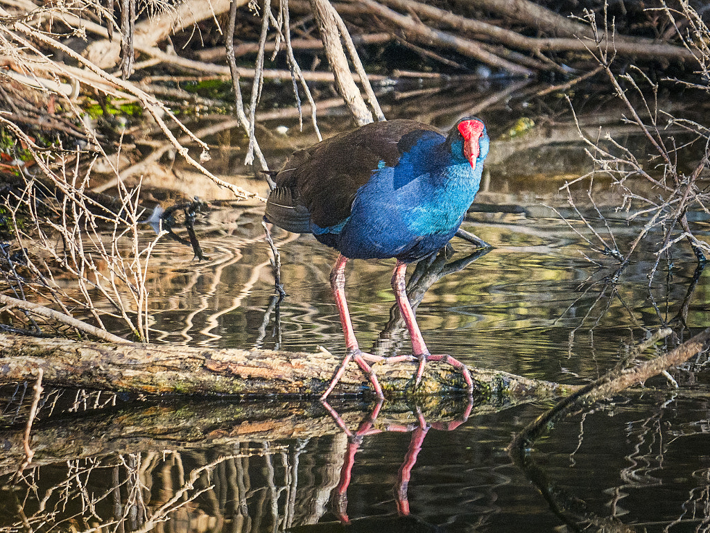 Kwilom by Paul Amyes on 500px.com