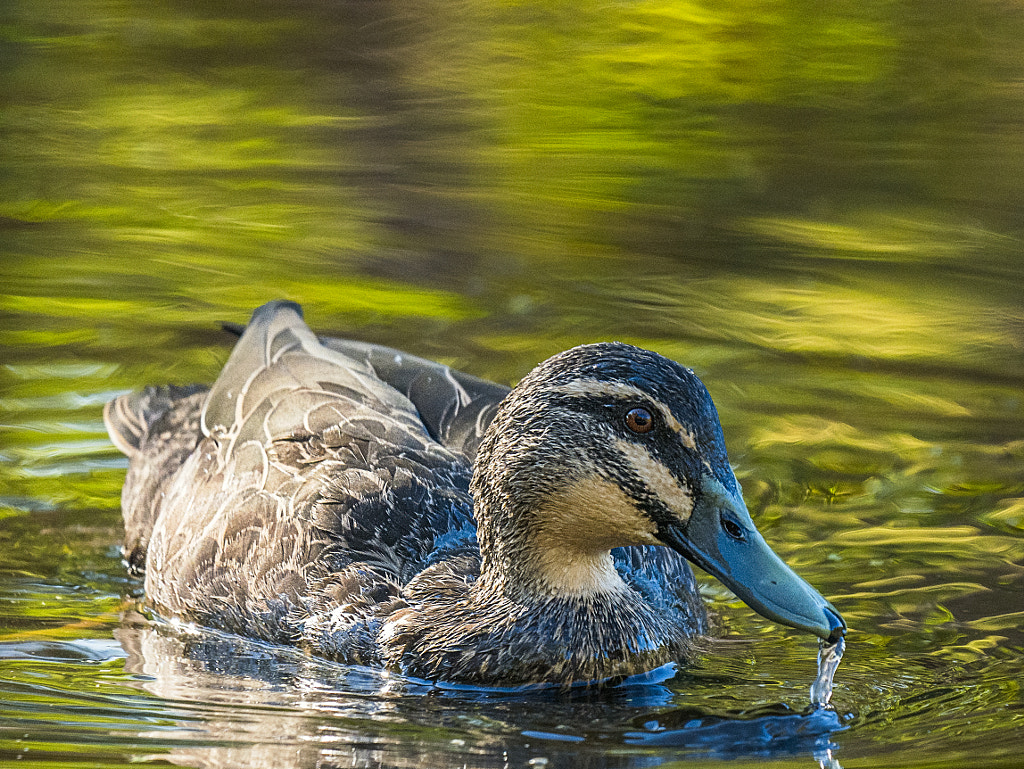 Yet by Paul Amyes on 500px.com