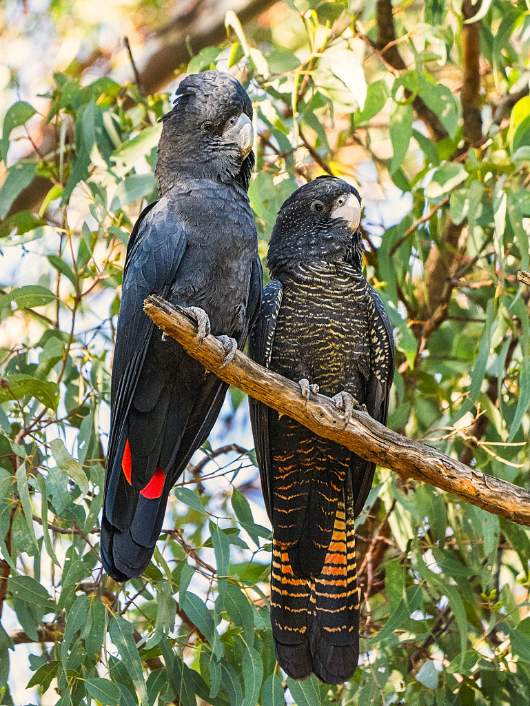 Karak by Paul Amyes on 500px.com