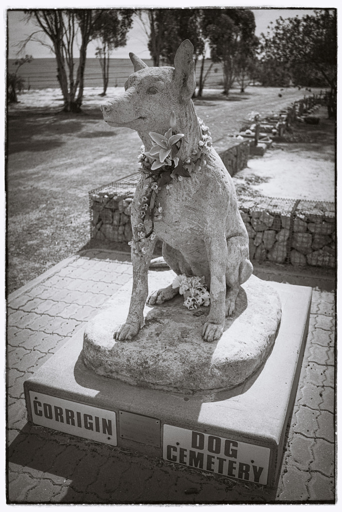 Corrigin Dog Cemetery by Paul Amyes on 500px.com