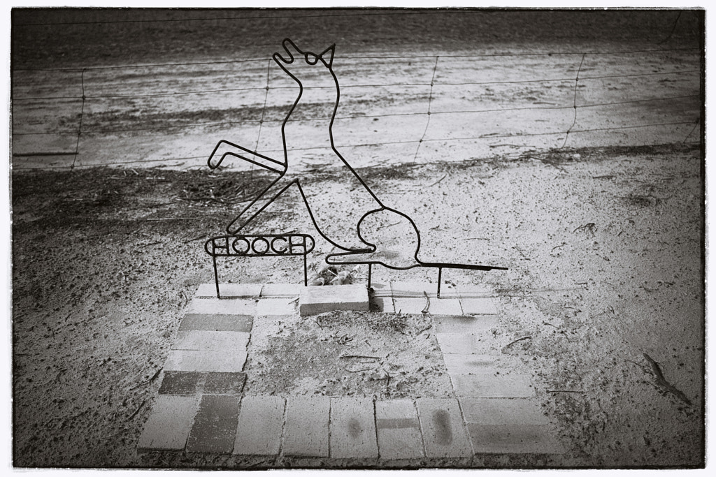 Hooch by Paul Amyes on 500px.com