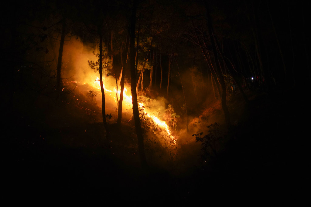 Wildfire on a Forest in Nepal by Skanda Gautam on 500px.com