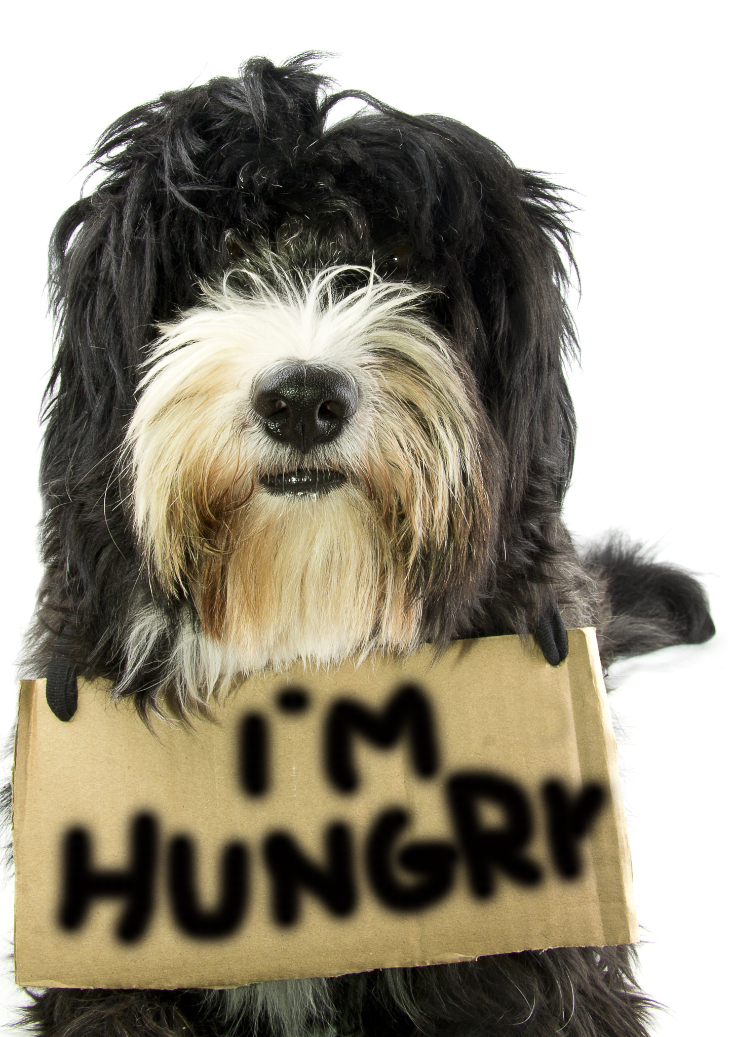 v2?sig=edb818a7e932faa4534ffd3c246374d569d67efbd9c4f9bce7d30dfe2e9fc9a4