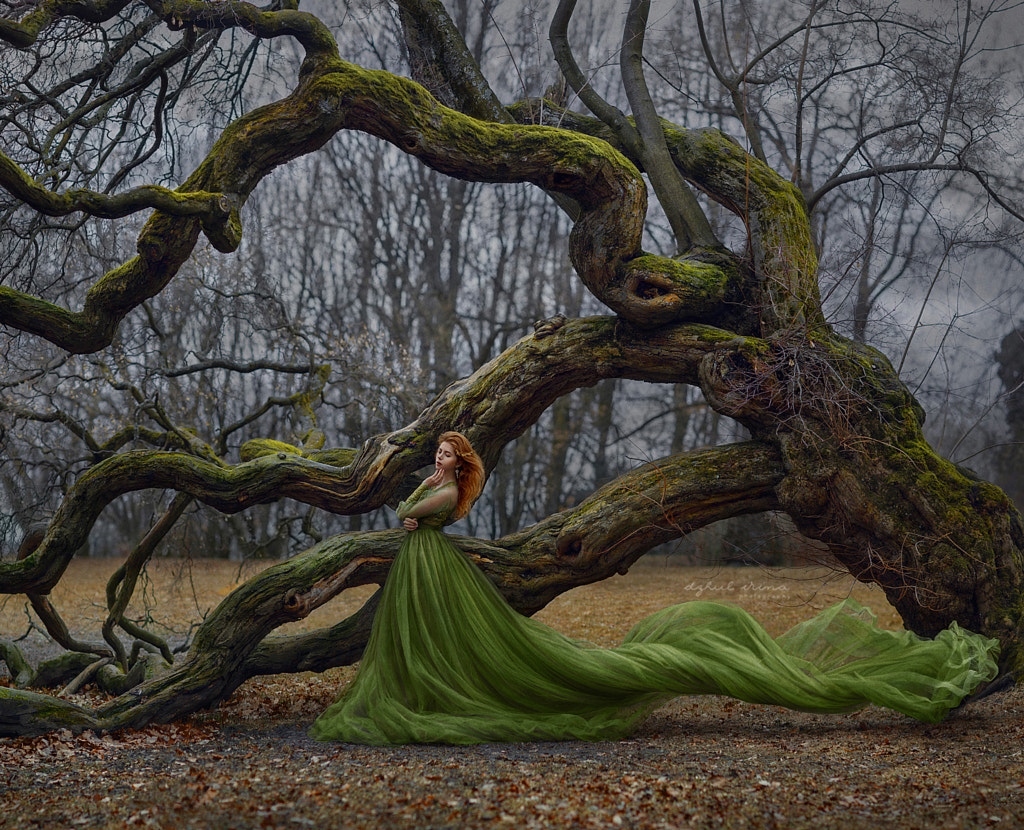 Soul of Tree by Irina Dzhul on 500px.com