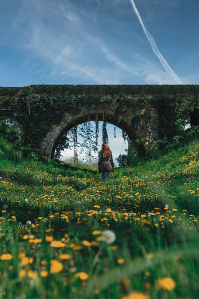 Forgotten meadow ... by Traveling Mia | Umid Ali | Aza Ali | Ahmad